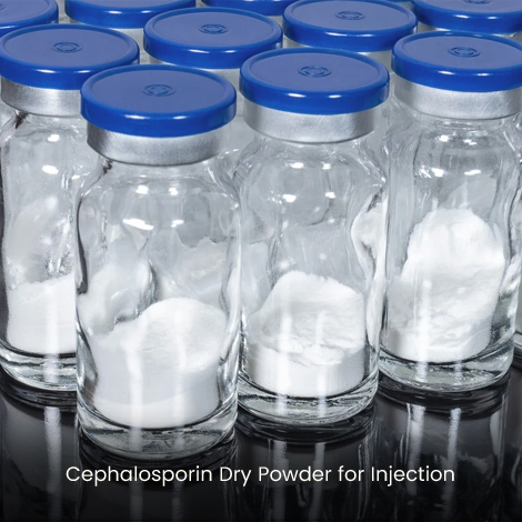 Cephalosporin Dry Powder for Injection